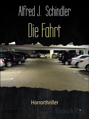 cover image of Die Fahrt